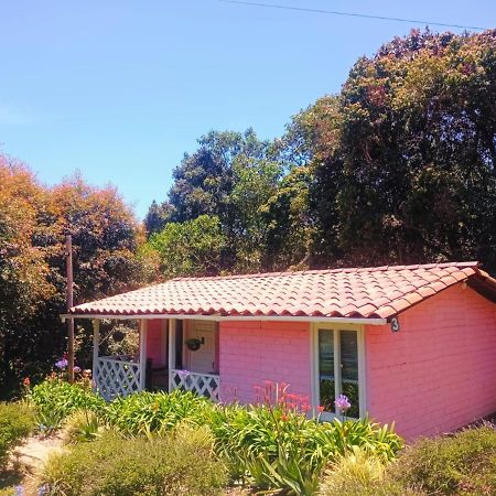 Hospedaje Santaelena -Chalets De Montana- Santa Elena  Kültér fotó