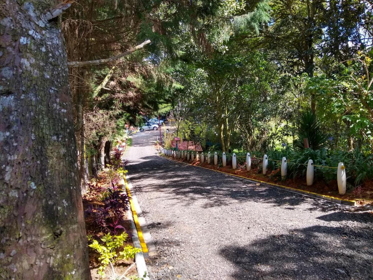 Hospedaje Santaelena -Chalets De Montana- Santa Elena  Kültér fotó